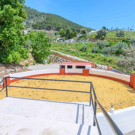 Casa Flores Con Piscina Interior Climatizada Alcaucín Extérieur photo