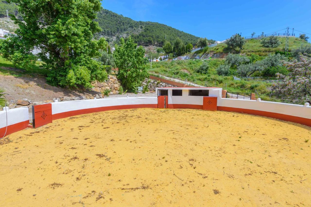 Casa Flores Con Piscina Interior Climatizada Alcaucín Extérieur photo