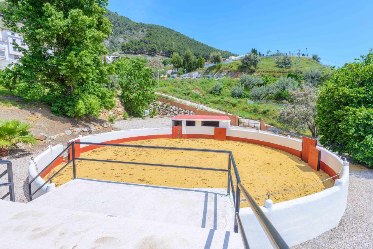 Casa Flores Con Piscina Interior Climatizada Alcaucín Extérieur photo